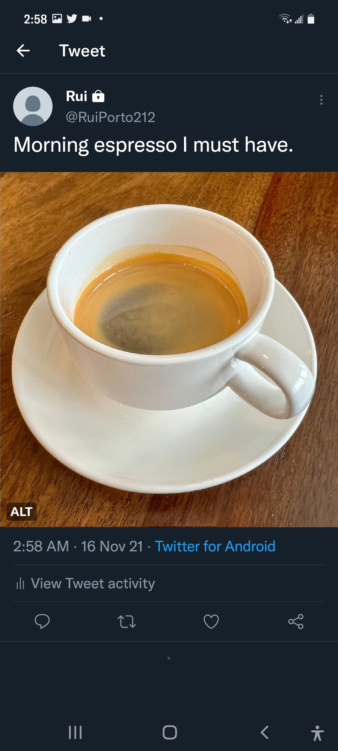 Screenshot of the posted Tweet with the ALT badge on the image.