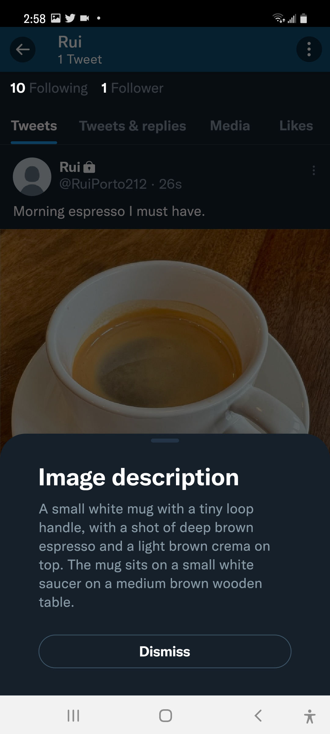 Screenshot of the posted Tweet with the image description appearing. “Image description” is the title, and a dismiss button comes after the description.