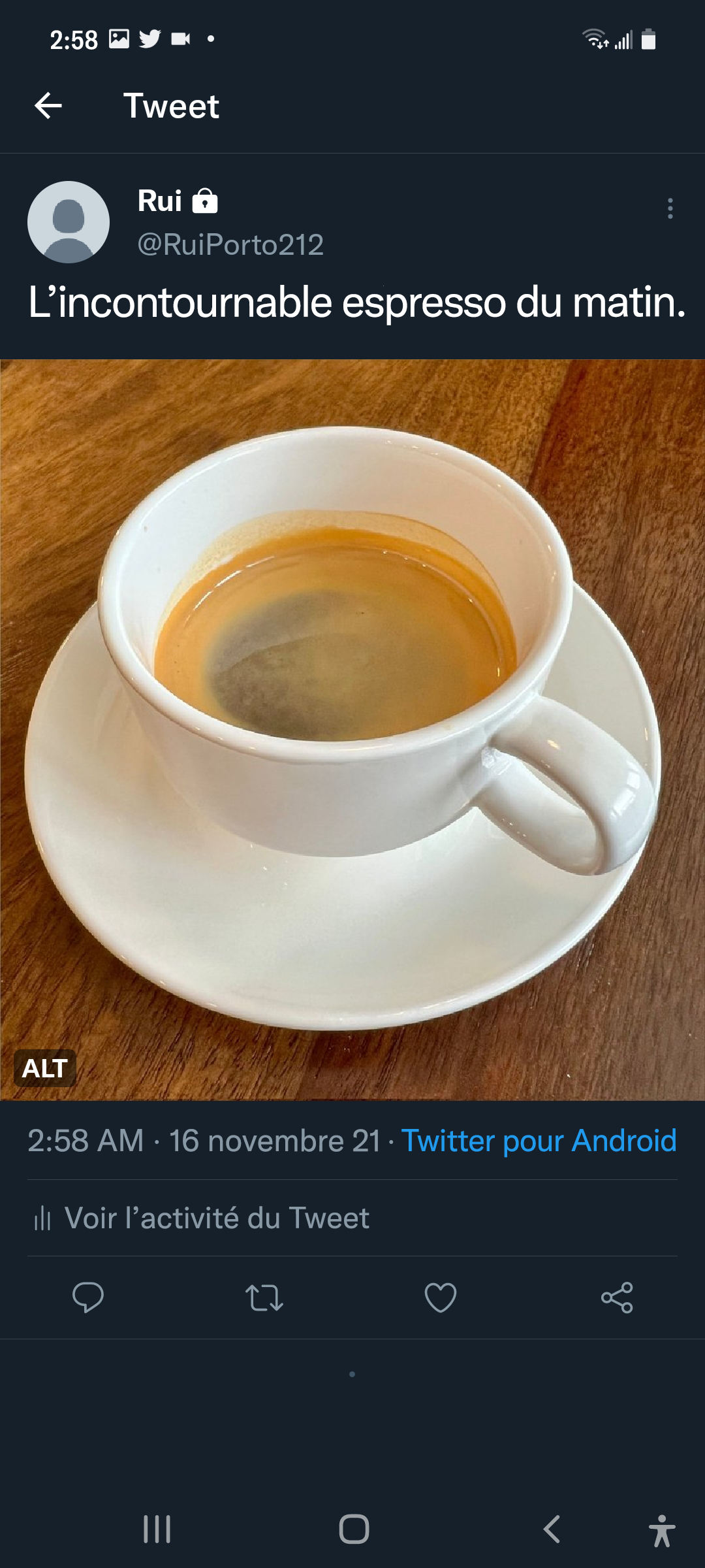 Capture d'écran du Tweet publié avec le badge ALT sur l'image.