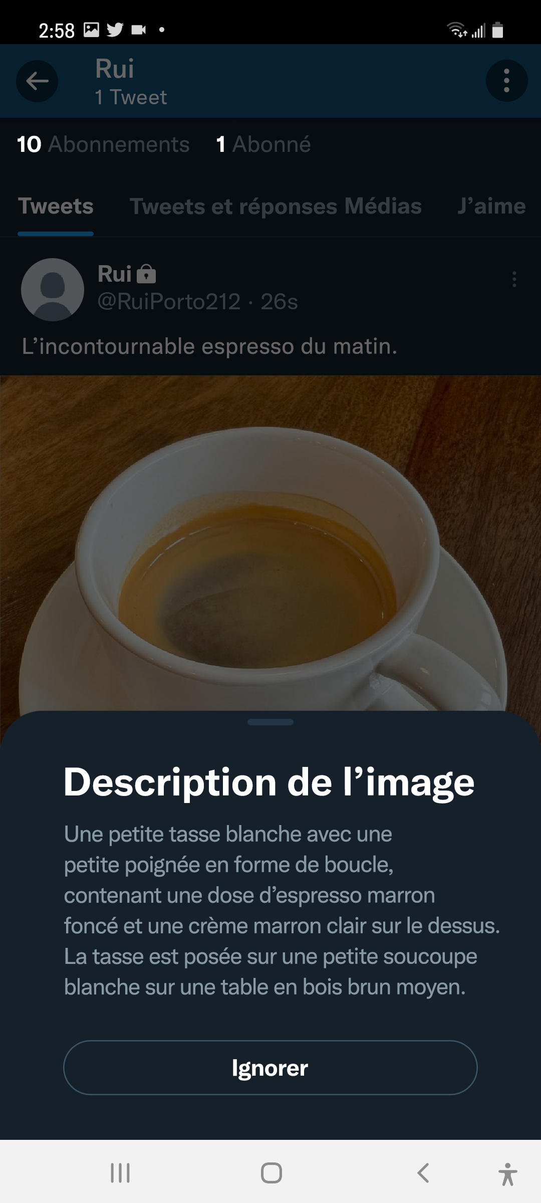 Capture d'écran du Tweet publié avec la description d'image affichée. « Description d'image » est le titre, et un bouton de rejet est affiché après la description.