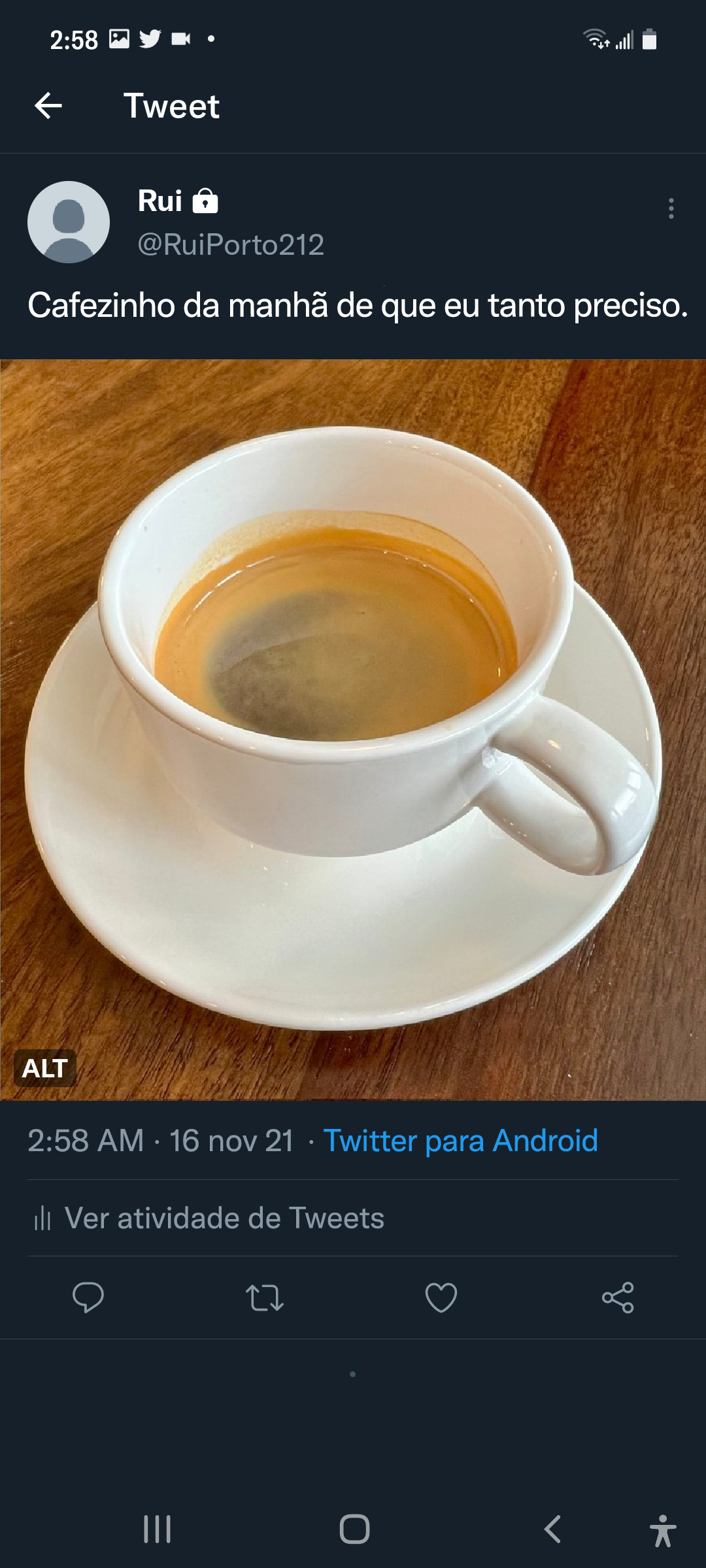 Captura de tela do Tweet publicado com o selo ALT na imagem.