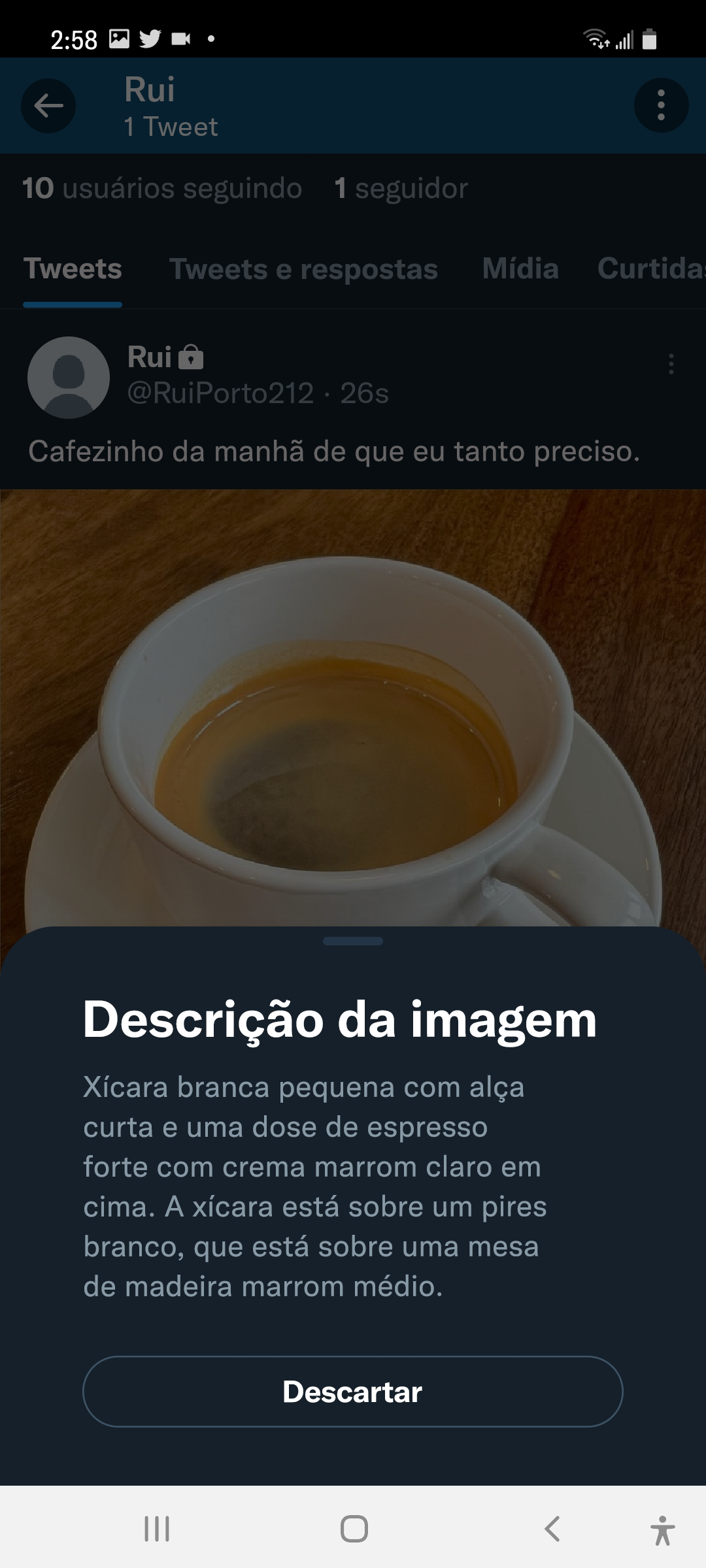 Captura de tela do Tweet publicado com a descrição da imagem exibida. O título é "Descrição da imagem" e o botão Rejeitar vem após a descrição.